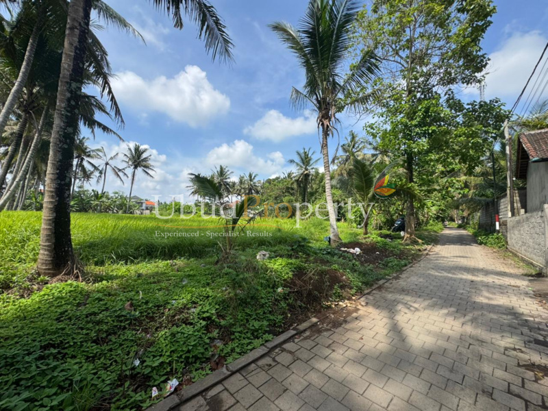 Ubud Property Land For Sale in Ubud Bali
